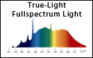 TrueLight